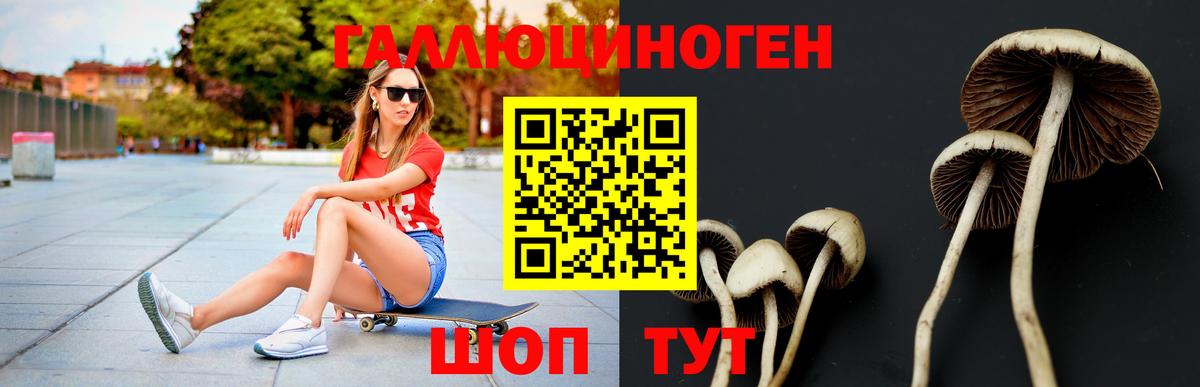 Сургут  Галлюциногенные грибы GOLDEN TEACHER  Вход с VPN 